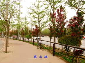 沈陽(yáng)市泰山路