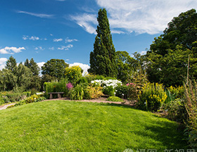 園林樹木作為山水建筑和植物的園林三要素之一