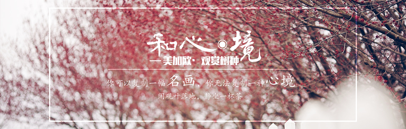 沈陽美加歐觀賞樹種研發(fā)有限公司 沈陽美加歐觀賞樹種研發(fā)有限公司