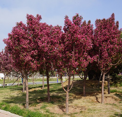 1460627015962852.jpg DSC05764.JPG