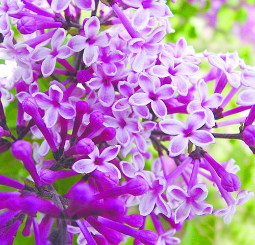 1461749142845847.jpg 1.jpg