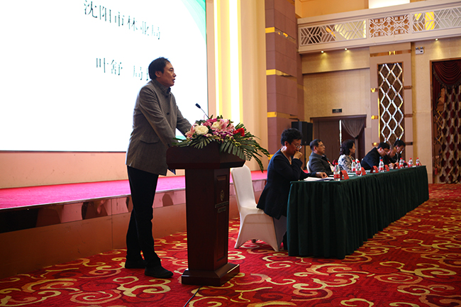 園林觀賞樹(shù)